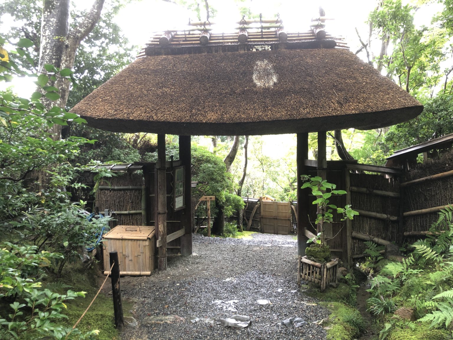 祇王寺の見どころや料金は?苔が美しい悲哀のスポット! | 地元人による嵐山観光の手帖