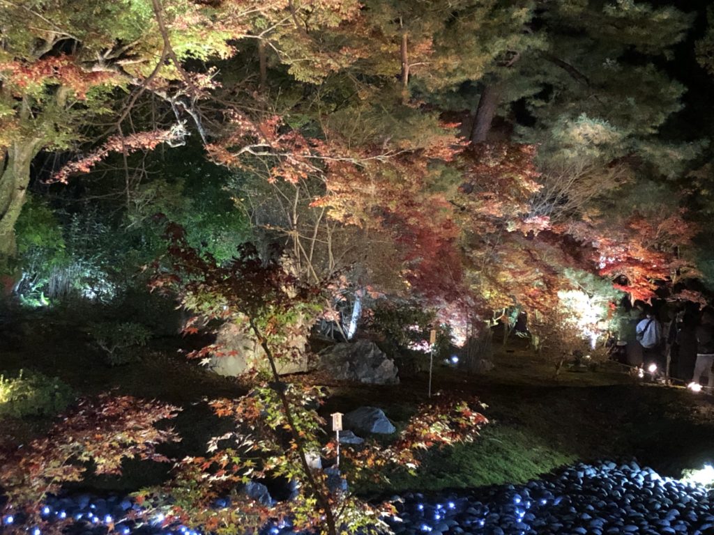 嵐山紅葉ライトアップ２０２０ お寺の夜が美しい 何時から 地元人の嵐山観光ガイド