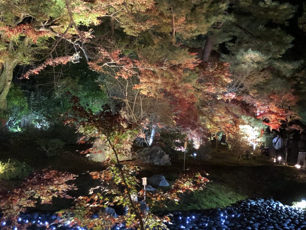 嵐山紅葉ライトアップ２０２０！お寺の夜が美しい！！何時から？